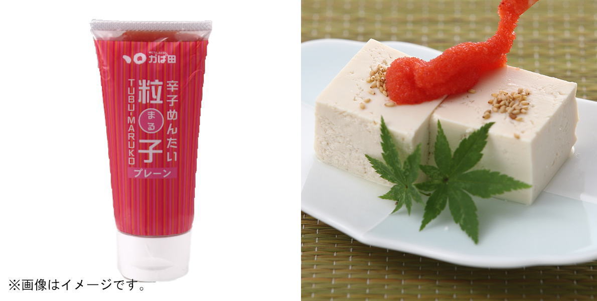 450円 卸売り 明太子 チューブ かねふく 明太チューブ 300g 30g×10本 明太 スティック tube